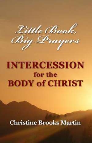 Little Book, Big Prayers de Christine Brooks Martin