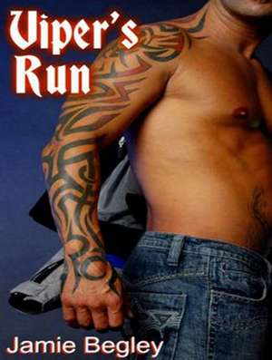 Viper's Run de Elizabeth Hart