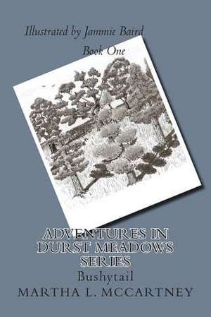 Adventures in Durst Meadows de Mrs Martha L. McCartney