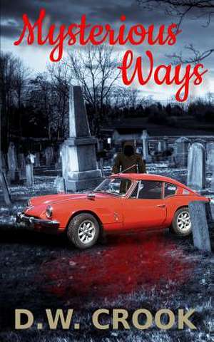 Mysterious Ways de D. W. Crook