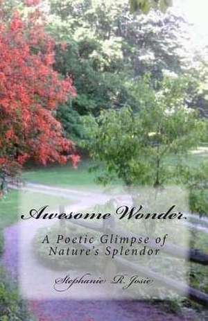 Awesome Wonder de Stephanie R. Josie