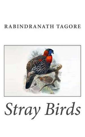 Stray Birds de Rabindranath Tagore