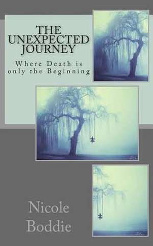 The Unexpected Journey de Mrs Nicole Boddie