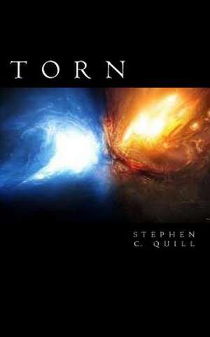 Torn de Stephen C. Quill