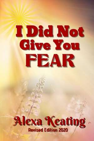 I Did Not Give You Fear de Alexa Keating