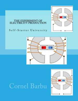 Electrician's Book - The Experiment of Electricity Production de MR Cornel Barbu