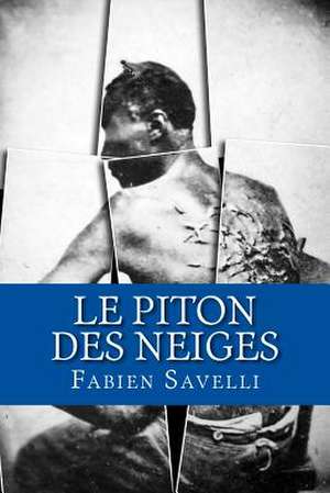 Le Piton Des Neiges