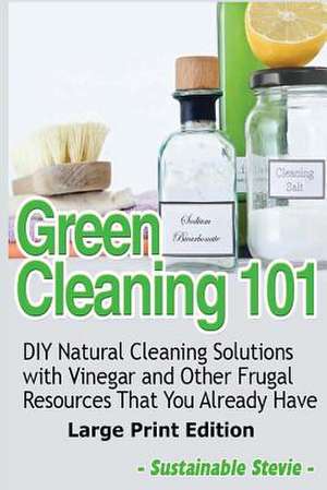 Green Cleaning 101 de Sustainable Stevie