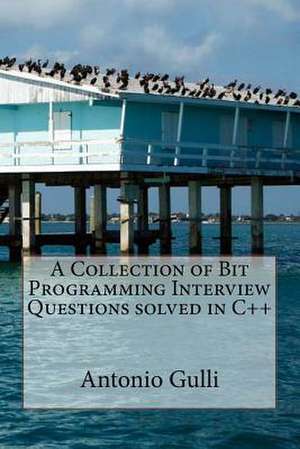 A Collection of Bit Programming Interview Questions Solved in C++ de Dr Antonio Gulli