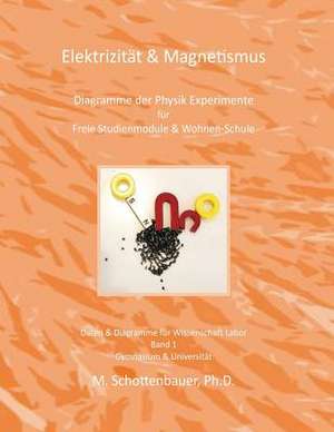 Elektrizitat & Magnetismus de M. Schottenbauer