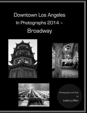 Downtown Los Angeles in Photographs 2014 - Broadway de Leslie Le Mon