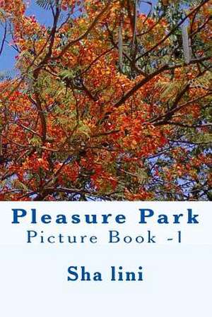 Pleasure Park de Sha Lini