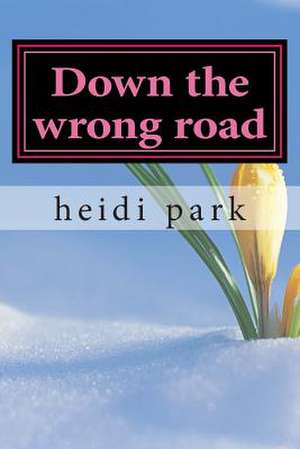 Down the Wrong Road de Heidi Lynn Park