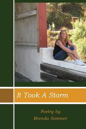 It Took a Storm de Brenda Sommer