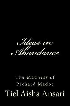 Ideas in Abundance de Tiel Aisha Ansari