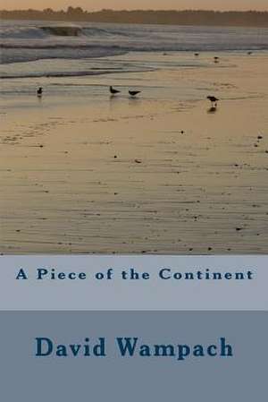 A Piece of the Continent de David Wampach