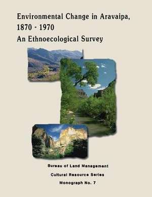 Environmental Change in Aravaipa, 1870-1970 de U. S. Department of the Interior