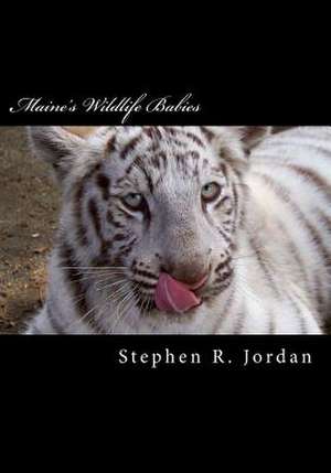 Maine's Wildlife Babies de MR Stephen R. Jordan