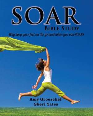 Soar de Amy Groeschel