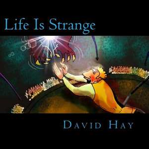 Life Is Strange de David Hay