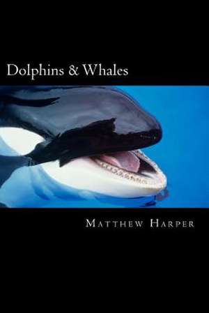 Dolphins & Whales de Matthew Harper