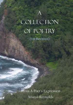 A Collection of Poetry (1st Revision) de Marco Reynolds