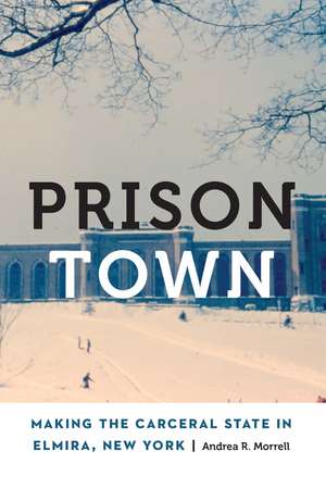 Prison Town: Making the Carceral State in Elmira, New York de Andrea R. Morrell