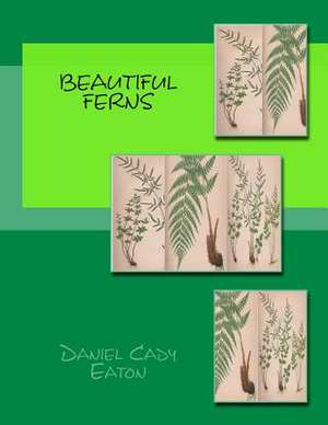 Beautiful Ferns de Daniel Cady Eaton