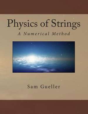 Physics of Strings de Dr Sam Gueller