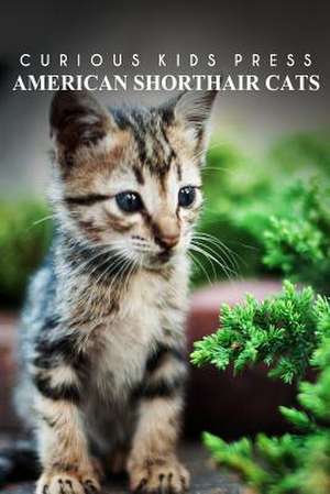 American Shorthair Cat - Curious Kids Press de Curious Kids Press