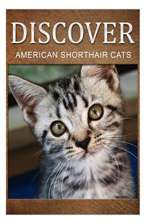 American Shorthair Cats - Discover de Discover Press