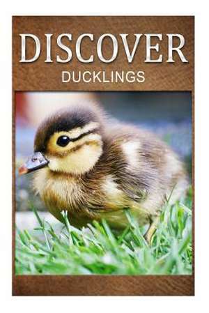 Ducklings - Discover de Discover Press