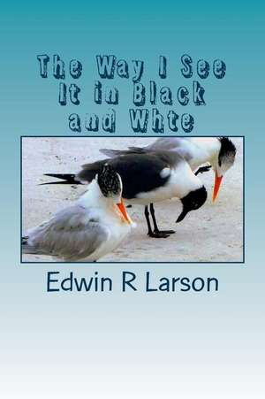 The Way I See It de Edwin Robert Larson