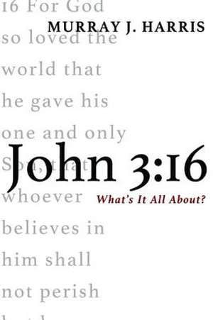 John 3: 16 de Murray J. Harris