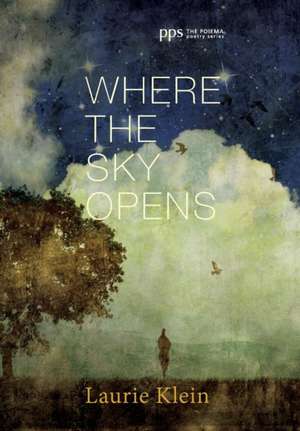 Where the Sky Opens de Laurie Klein