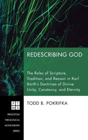 Redescribing God de Todd Pokrifka