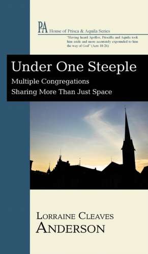 Under One Steeple de Lorraine Cleaves Anderson