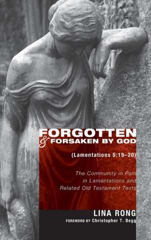 Forgotten and Forsaken by God (Lamentations 5 de Lina Rong