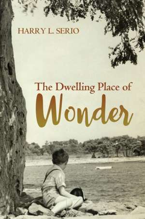 The Dwelling Place of Wonder de Harry L. Serio