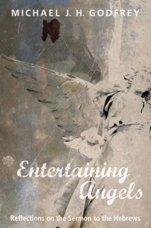 Entertaining Angels de Michael J. H. Godfrey