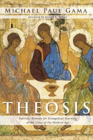 Theosis de Michael Paul Gama