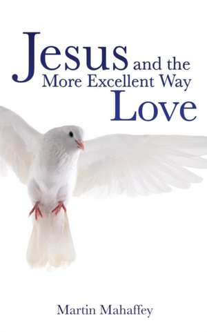 Jesus and the More Excellent Way Love de Martin Mahaffey