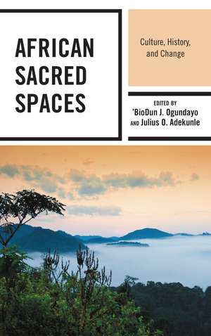African Sacred Spaces: Culture, History, and Change de 'BioDun J. Ogundayo