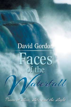 Faces of the Waterfall de David Gordon