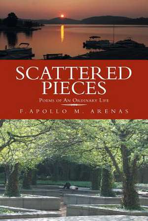 Scattered Pieces de F. Apollo M. Arenas