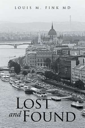 Lost and Found de Louis M. Fink MD