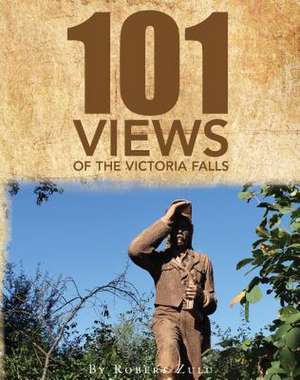 One Hundred and One Views of the Victoria Falls de Dr Robert Zulu