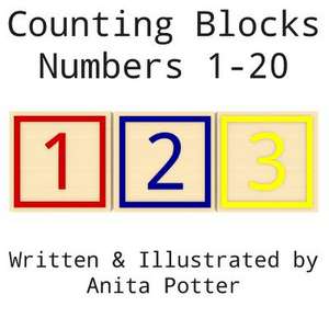 Counting Blocks de Anita Potter