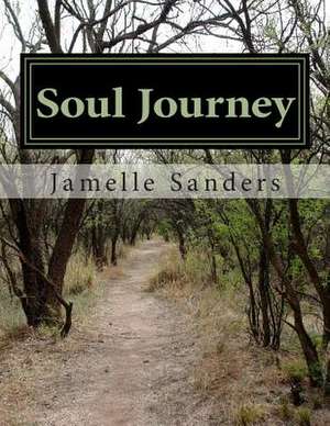 Soul Journey de Jamelle D. Sanders