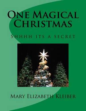 One Magical Christmas de Mary Kleiber